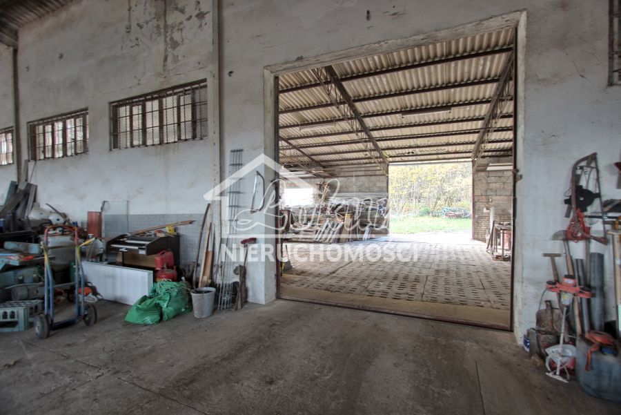 Magazyn na sprzedaż, 16300 m², Dziwogóra - zdjęcie 14