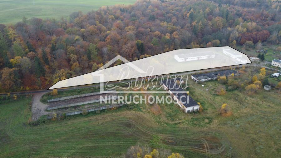Magazyn na sprzedaż, 16300 m², Dziwogóra - zdjęcie 6