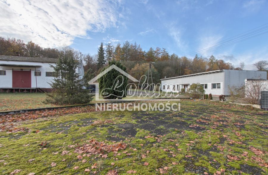 Magazyn na sprzedaż, 16300 m², Dziwogóra - zdjęcie 12