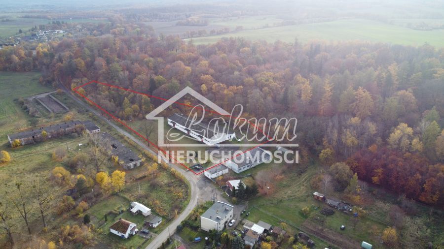 Magazyn na sprzedaż, 16300 m², Dziwogóra - zdjęcie 9