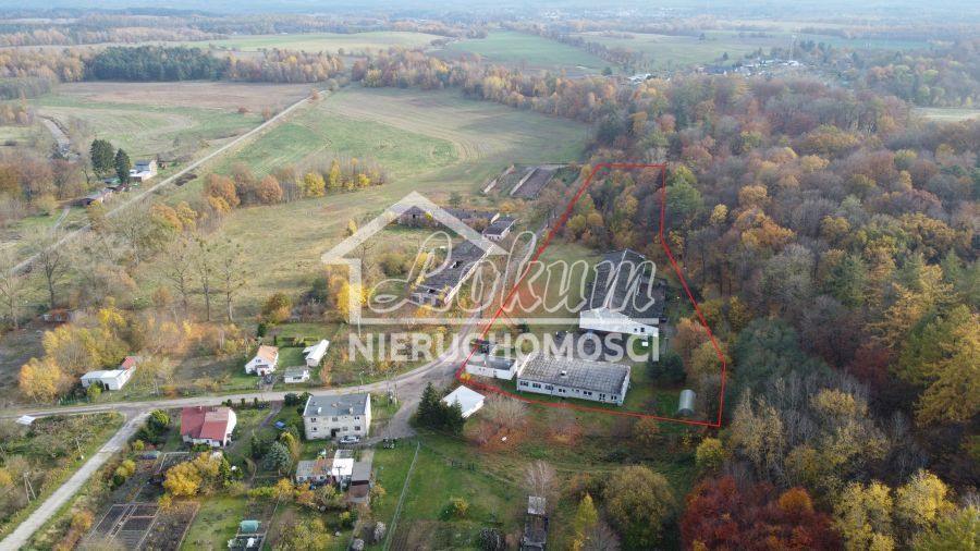 Magazyn na sprzedaż, 16300 m², Dziwogóra - zdjęcie 8