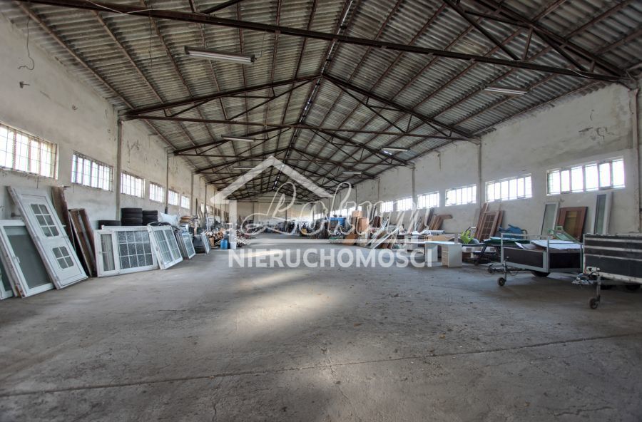 Magazyn na sprzedaż, 16300 m², Dziwogóra - zdjęcie 16