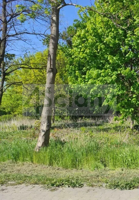 Działka budowlana 1274&nbsp;m², Parzniew - zdjęcie 1