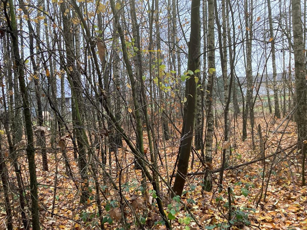 Działka rolna 3300 m², Ignatów - zdjęcie 2