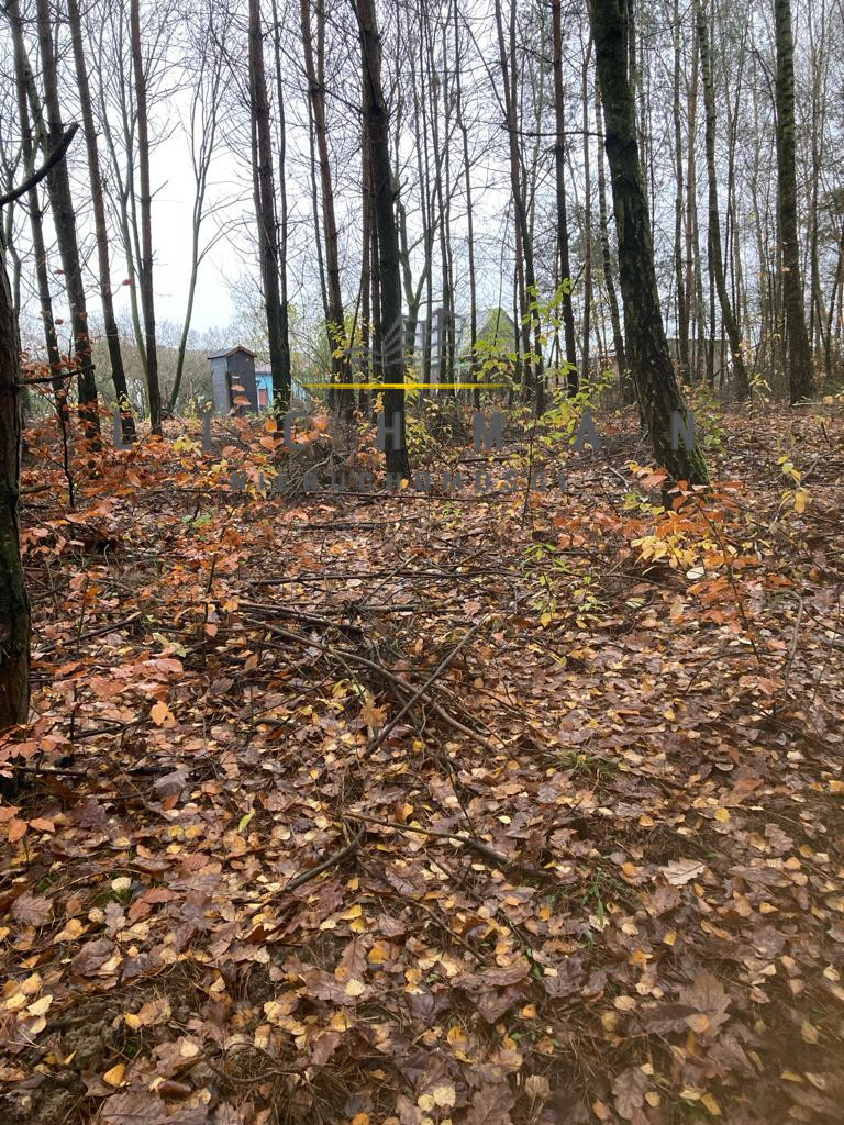 Działka rolna 3300 m², Ignatów - zdjęcie 1
