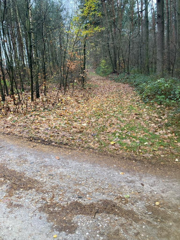 Działka rolna 3300 m², Ignatów - zdjęcie 3