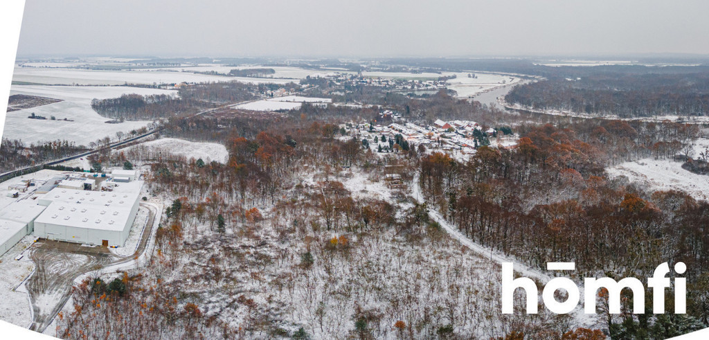 Działka inwestycyjna 1,60 ha, Pogalewo Wielkie - zdjęcie 8