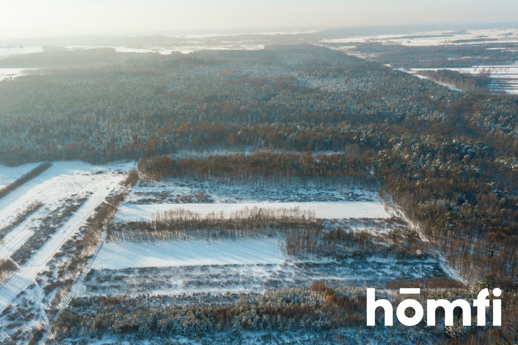 Działka rolna 1,14 ha, Pogwizdów - zdjęcie 6