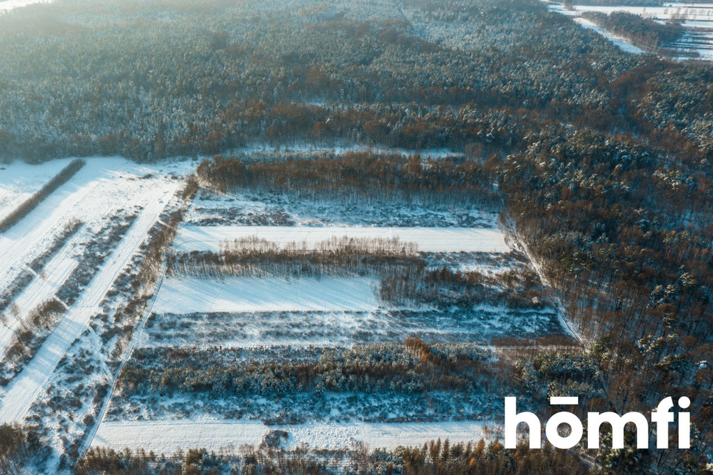 Działka rolna 1,14 ha, Pogwizdów - zdjęcie 7