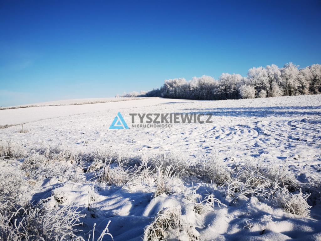 Piękna działka w sercu Kaszub - zdjęcie 20