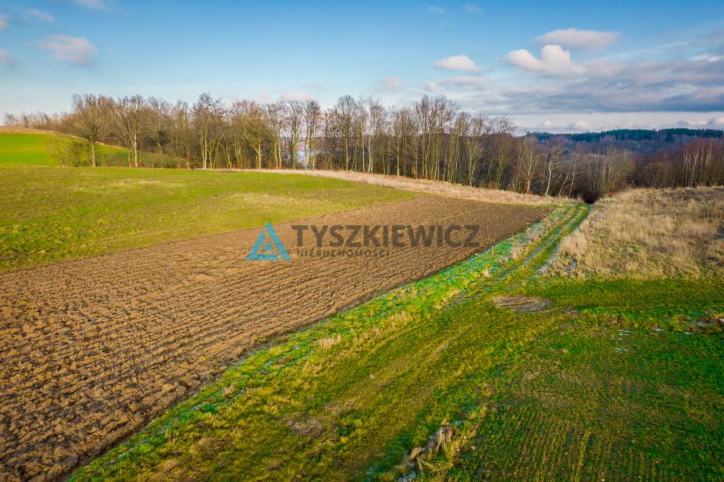 Piękna działka w sercu Kaszub - zdjęcie 11