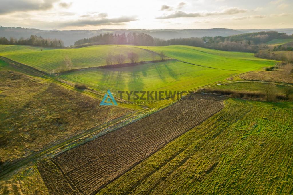 Piękna działka w sercu Kaszub - zdjęcie 8