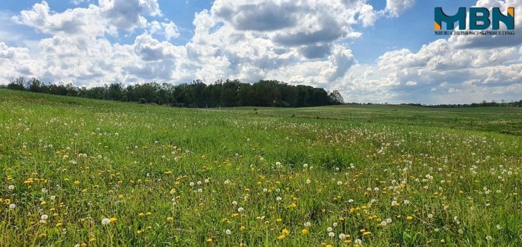 Działka rolna 3,50&nbsp;ha, Doba - zdjęcie 15
