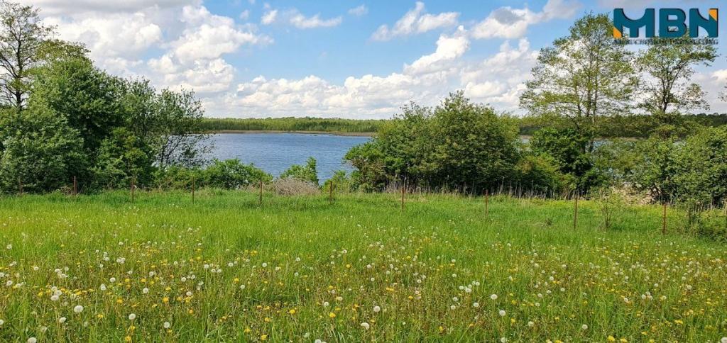 Działka rolna 3,50&nbsp;ha, Doba - zdjęcie 7