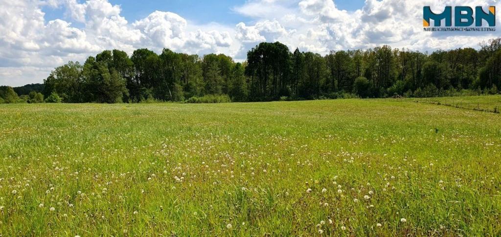 Działka rolna 3,50&nbsp;ha, Doba - zdjęcie 8