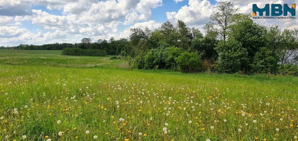 Działka rolna 3,50&nbsp;ha, Doba - zdjęcie 9