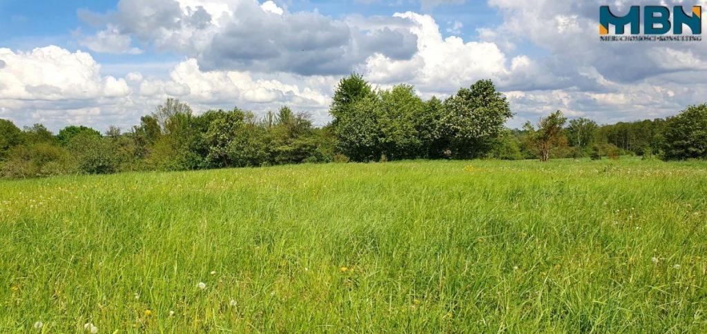 Działka rolna 3,50&nbsp;ha, Doba - zdjęcie 13