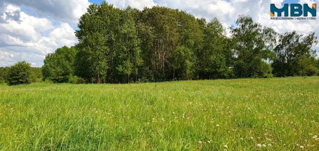 Działka rolna 3,50&nbsp;ha, Doba - zdjęcie 16