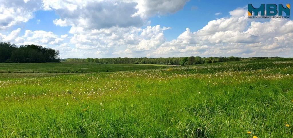 Działka rolna 3,50&nbsp;ha, Doba - zdjęcie 10