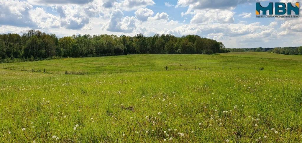 Działka rolna 3,50&nbsp;ha, Doba - zdjęcie 17