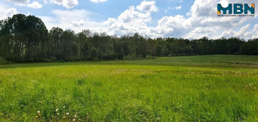 Działka rolna 3,50&nbsp;ha, Doba - zdjęcie 12