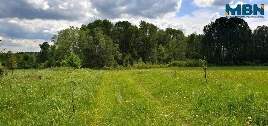 Działka rolna 3,50&nbsp;ha, Doba - zdjęcie 18