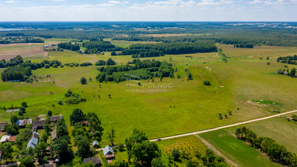 Działka rolna 3003&nbsp;m², Mieleszki-Kolonia - zdjęcie 7