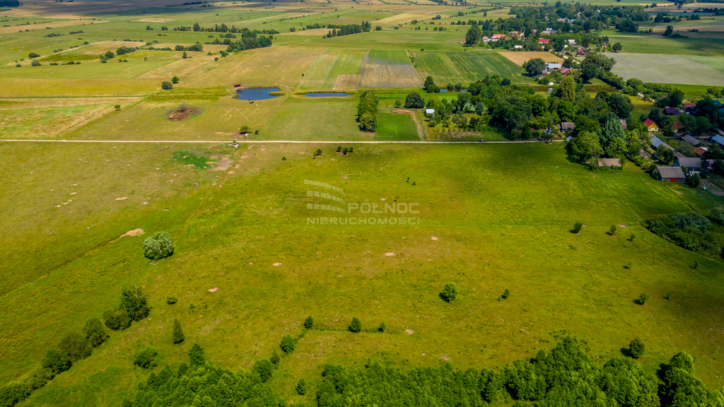 Działka rolna 3003&nbsp;m², Mieleszki-Kolonia - zdjęcie 14