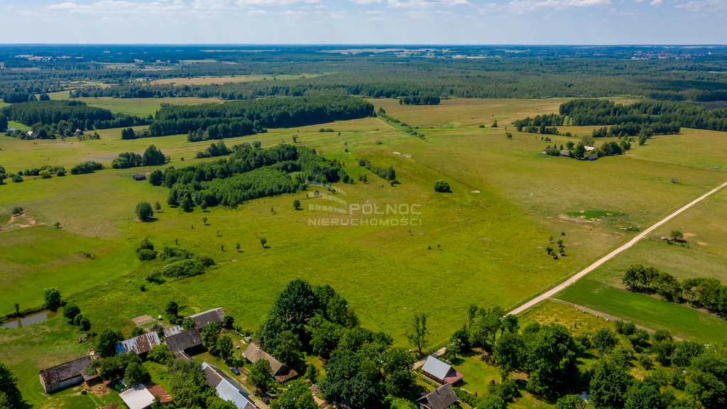 Działka rolna 3003&nbsp;m², Mieleszki-Kolonia - zdjęcie 6