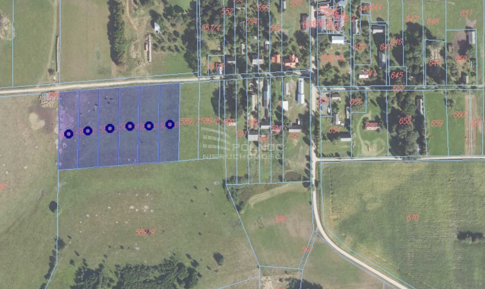 Działka rolna 3003&nbsp;m², Mieleszki-Kolonia - zdjęcie 2