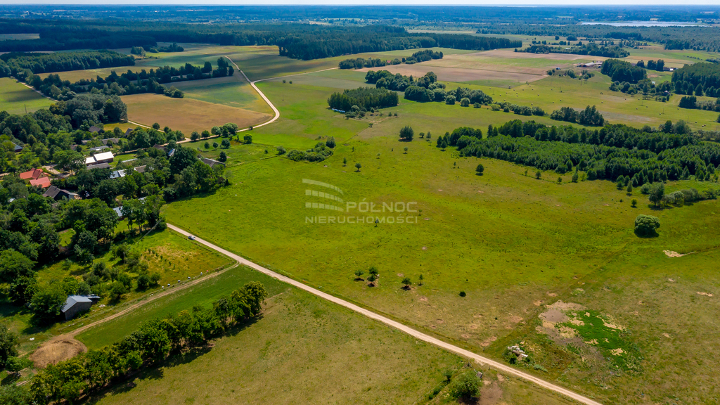 Działka rolna 3003&nbsp;m², Mieleszki-Kolonia - zdjęcie 9