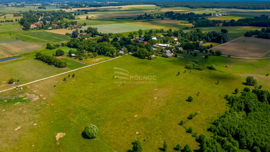Działka rolna 3003&nbsp;m², Mieleszki-Kolonia - zdjęcie 12