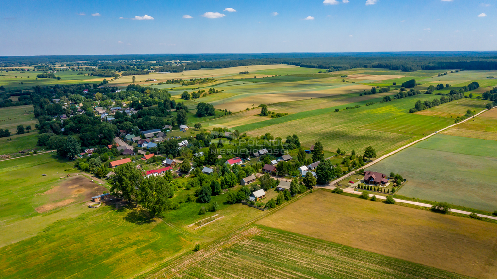 Działka rolna 3003&nbsp;m², Mieleszki-Kolonia - zdjęcie 4