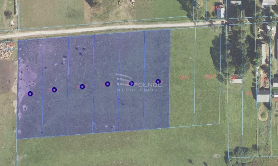 Działka rolna 3003&nbsp;m², Mieleszki-Kolonia - zdjęcie 3
