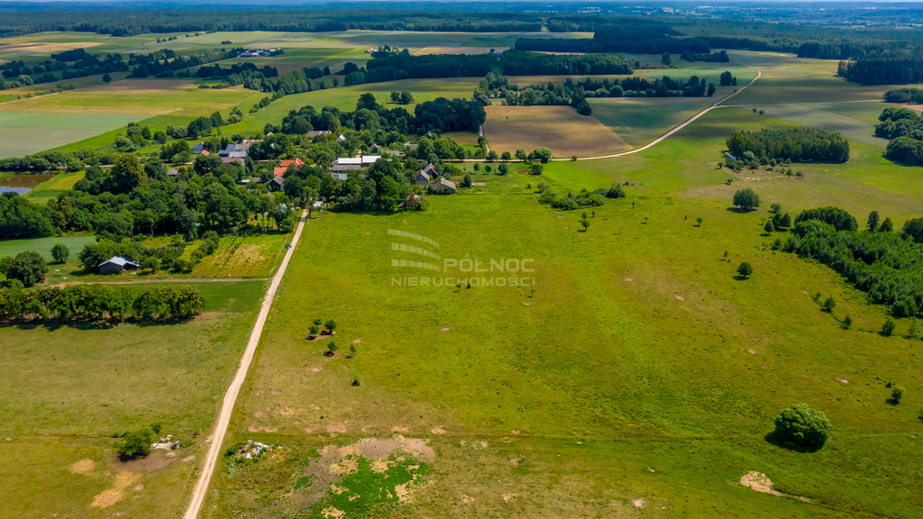 Działka rolna 3003&nbsp;m², Mieleszki-Kolonia - zdjęcie 11