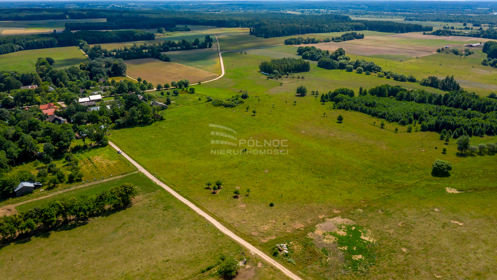 Działka rolna 3003&nbsp;m², Mieleszki-Kolonia - zdjęcie 10