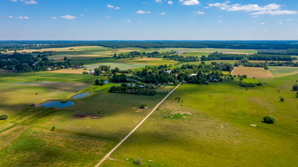 Działka rolna 3003&nbsp;m², Mieleszki-Kolonia - zdjęcie 16