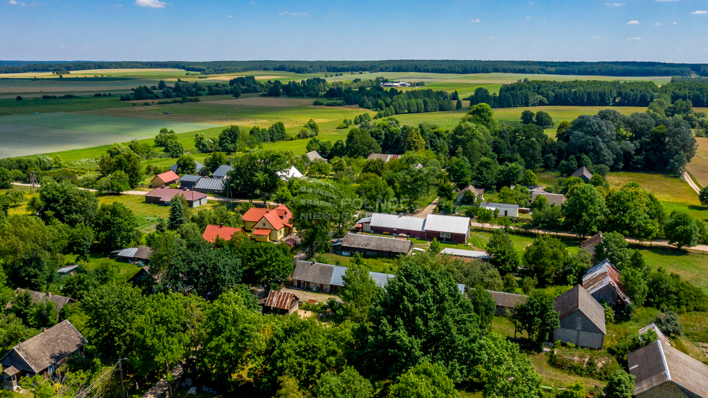 Działka rolna 3003&nbsp;m², Mieleszki-Kolonia - zdjęcie 15