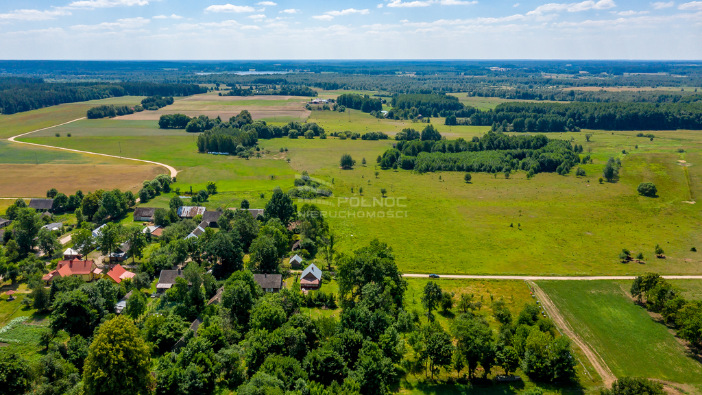 Działka rolna 3003&nbsp;m², Mieleszki-Kolonia - zdjęcie 5