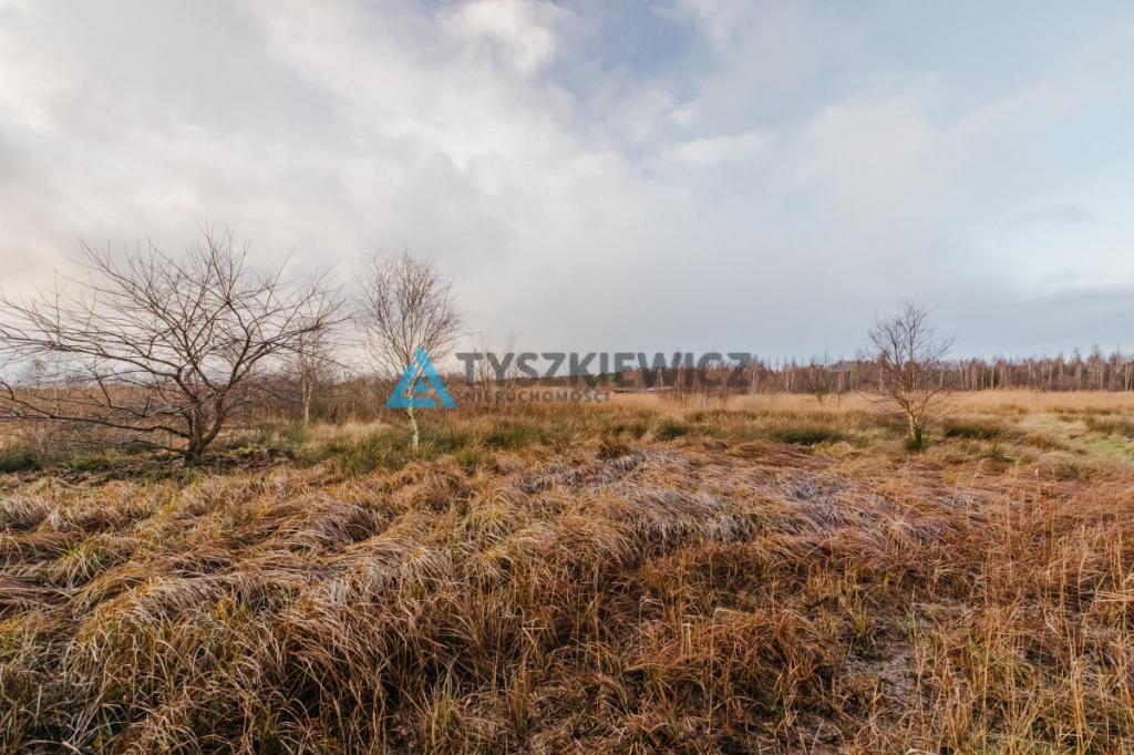 Ostrowo działki w doskonałej lokalizacja-udział - zdjęcie 12