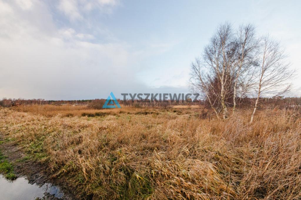 Ostrowo działki w doskonałej lokalizacja-udział - zdjęcie 9