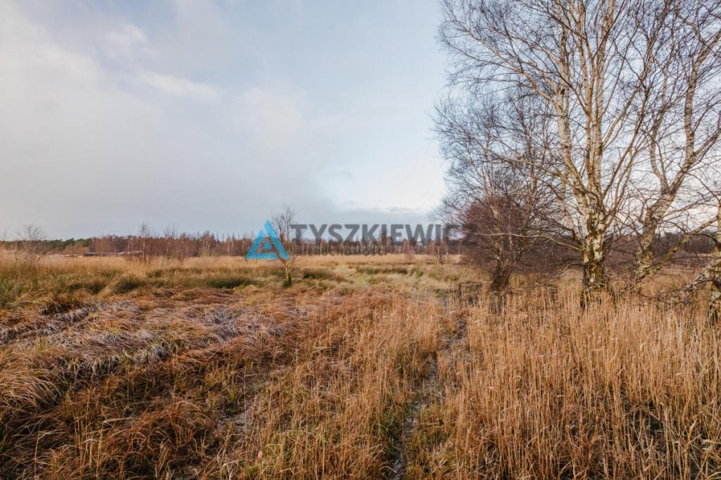 Ostrowo działki w doskonałej lokalizacja-udział - zdjęcie 11