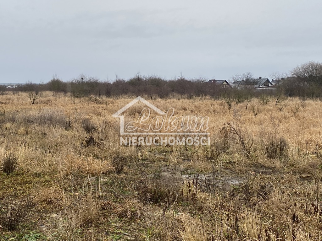 Działka rolna 1177 m², Mierzyn - zdjęcie 2