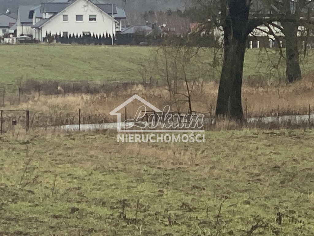 Działka rolna 1177 m², Mierzyn, Ozdobna - zdjęcie 3