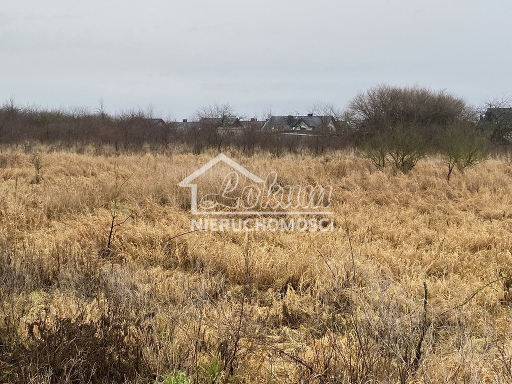 Działka rolna 1177 m², Mierzyn - zdjęcie 1