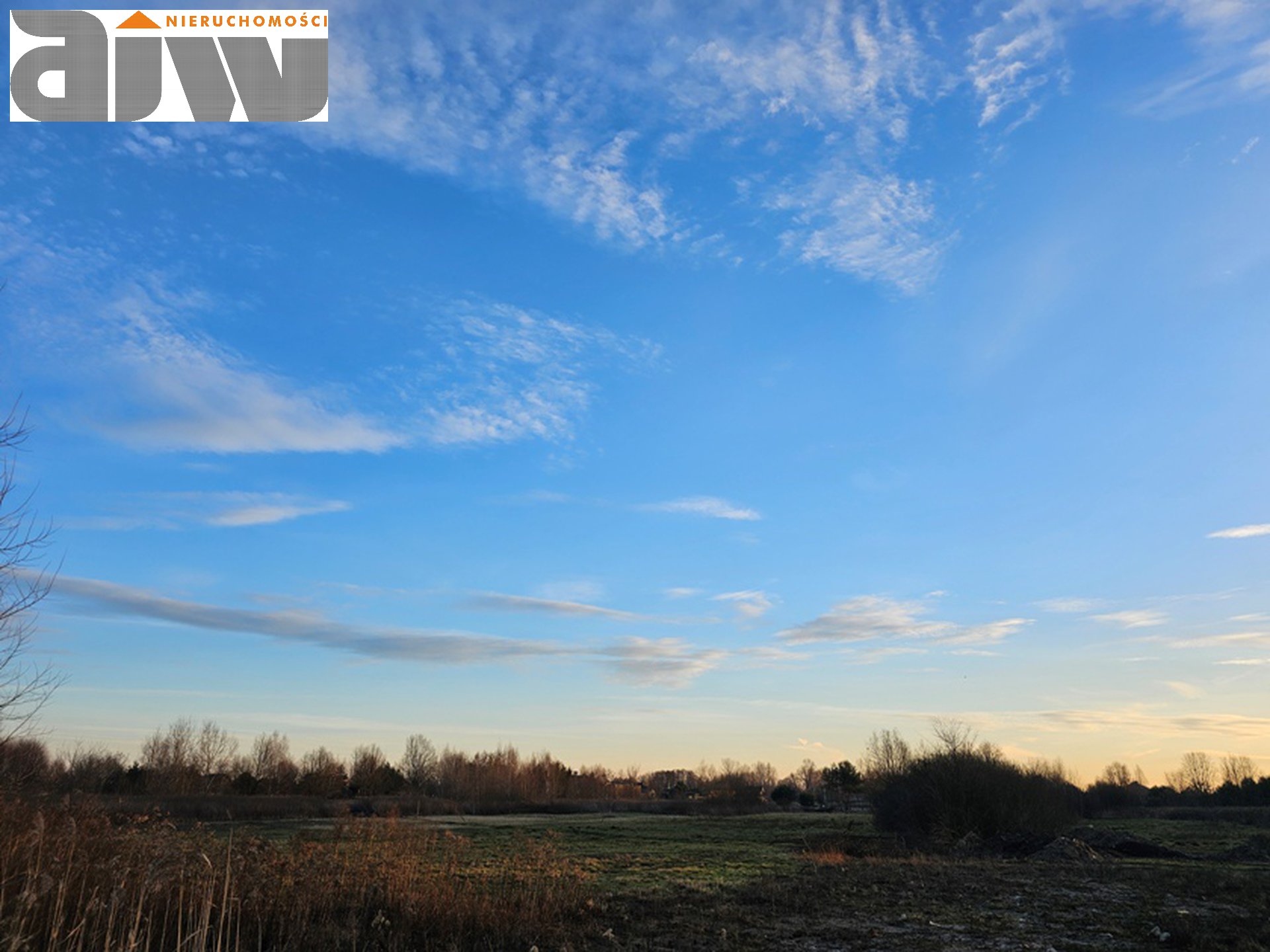 Borzęcin Duży 1720 m2 - zdjęcie 2