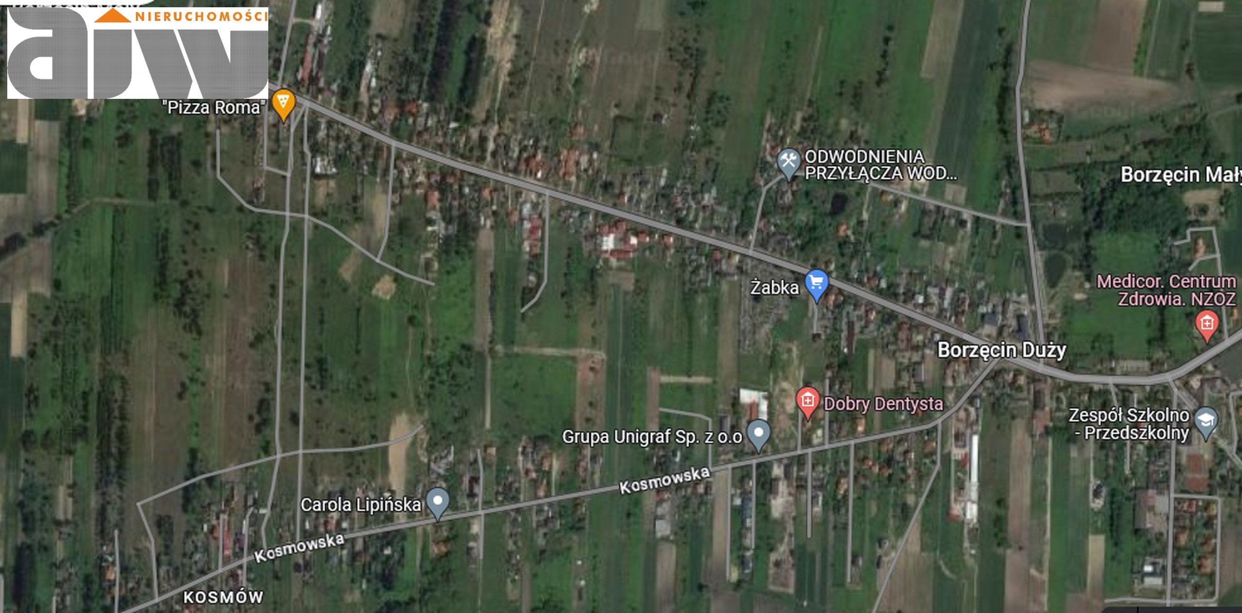 Borzęcin Duży 1720 m2 - zdjęcie 1