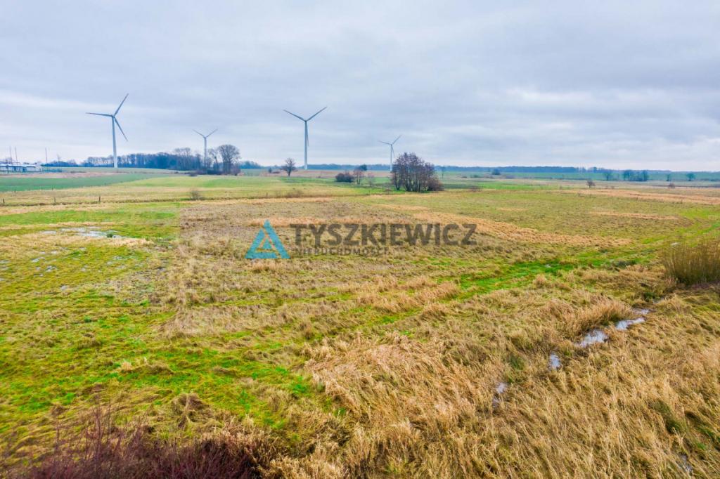 Atrakcyjna Działka Rolna - zdjęcie 15