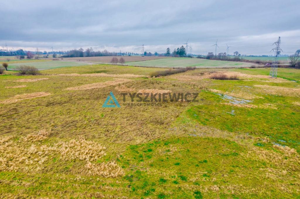Atrakcyjna Działka Rolna - zdjęcie 11