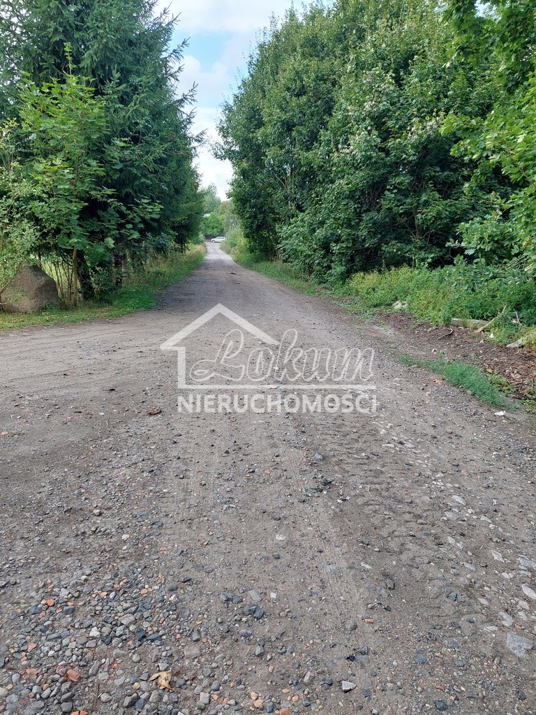Działka budowlana 1,35&nbsp;ha, Drawno - zdjęcie 3